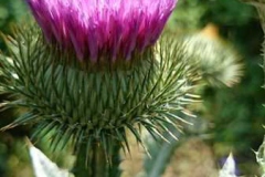 img-20160626-wa0101