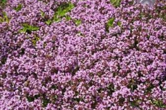 img-20160626-wa0109