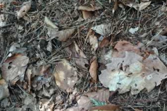 img-20160626-wa0116
