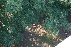 img-20160626-wa0120