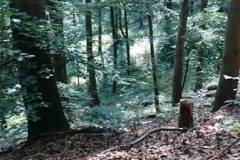 img-20160626-wa0129