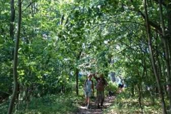 img-20160626-wa0142