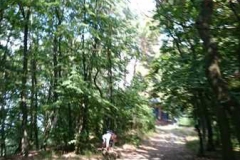 img-20160626-wa0169