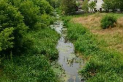 img-20160626-wa0198
