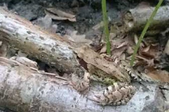 img-20160626-wa0202