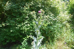 p1010994