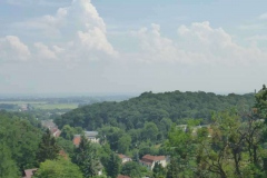 p1020002