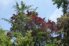 p1020007