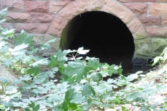 p1000759