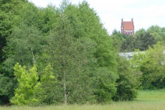 p1000767