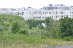 p1000771