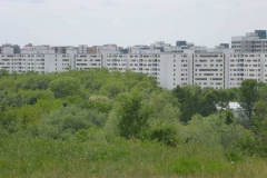 p1000772