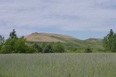 p1000776