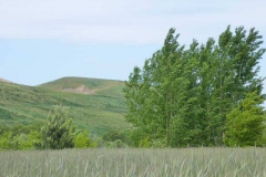 p1000777