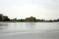 P4300038