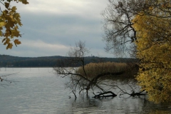 cimg2874_800x600