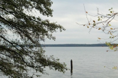 cimg2875_800x600
