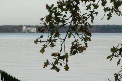 cimg2876_800x600