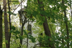 cimg2880_800x600