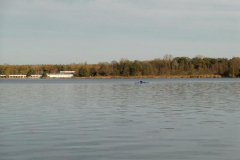 cimg2883_800x600