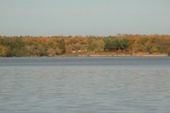 cimg2884_800x600