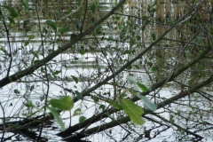 cimg2886_800x600