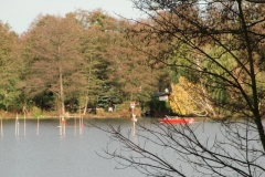 cimg2888_800x600