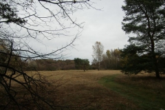 cimg2889_800x600