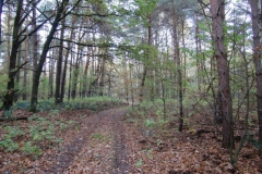 cimg2891_800x600