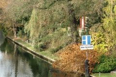 cimg2900_800x600