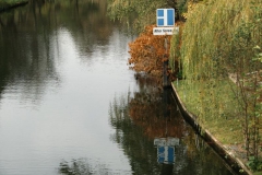 cimg2901_800x600