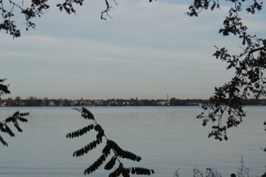 dscn2299_800x600