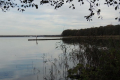 dscn2303_800x600