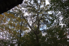 dscn2305_800x600