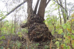 dscn2307_800x600