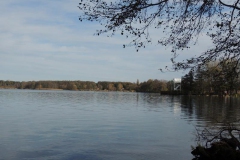 dscn2310_800x600