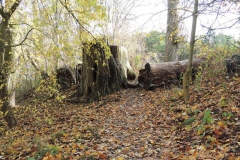 dscn2311_800x600
