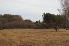 dscn2319_800x600