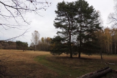 dscn2320_800x600