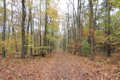 dscn2338_800x600