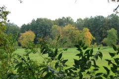 cimg3226
