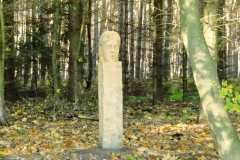 cimg3241