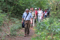 img_0741 img_0741