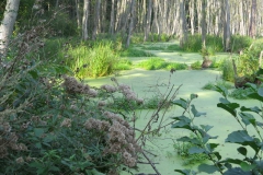 img_0743 img_0743