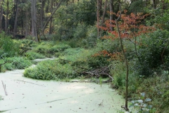 img_0747 img_0747