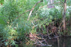 img_0754 img_0754