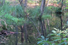 img_0755 img_0755