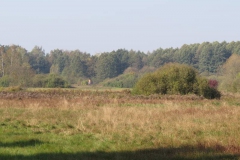 img_0869