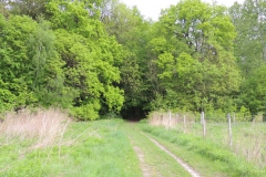 dscn2807