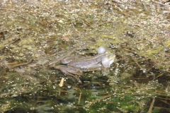 dscn2827 dscn2827